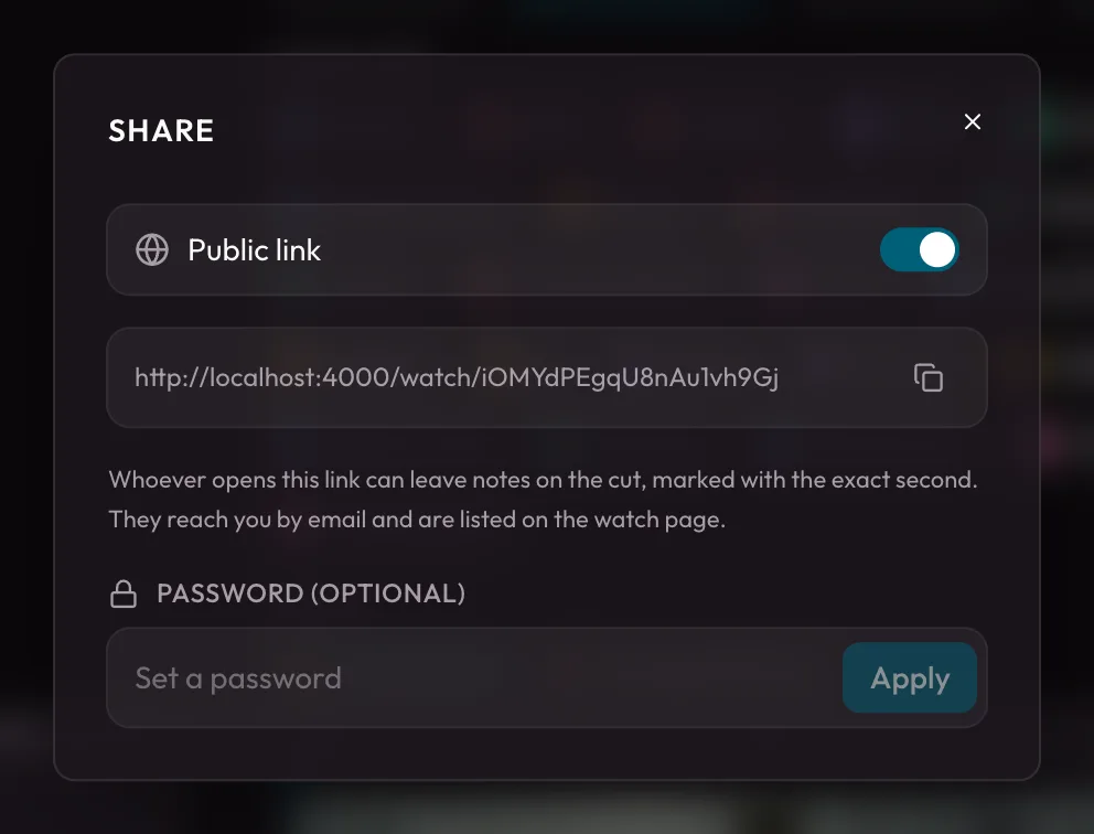 The share dialog with the public-link switch and password field